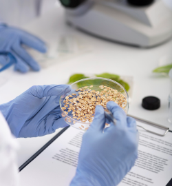 Quality Control & Assurance<