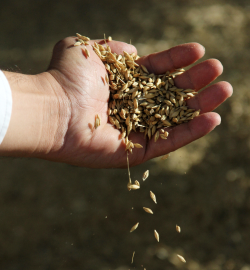 Manufacturing Facility